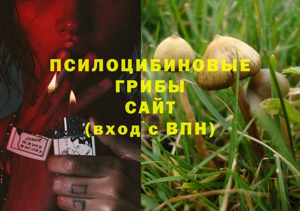 MDMA Заволжск