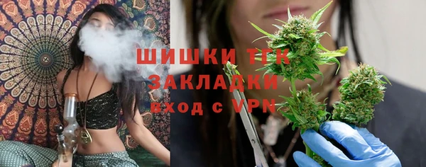 дмт Заводоуковск