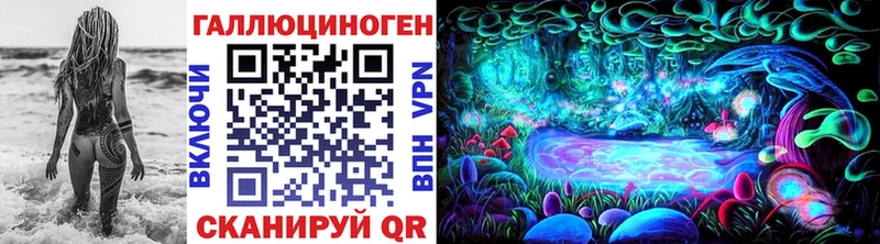 Купить закладки  Кизилюрт  Псилоцибиновые грибы GOLDEN TEACHER 